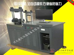 30噸恒應(yīng)力抗折抗壓一體機SFK-300/10型KN全自動壓力